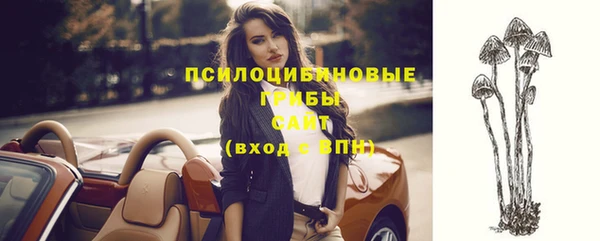ГАЛЛЮЦИНОГЕННЫЕ ГРИБЫ Армянск