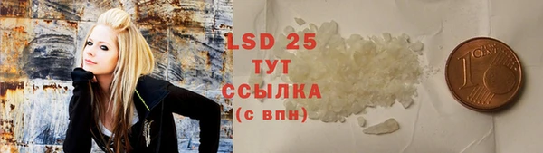 прущие грибы Аркадак