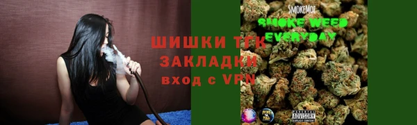 прущие грибы Аркадак