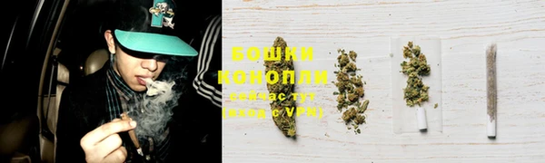 прущие грибы Аркадак