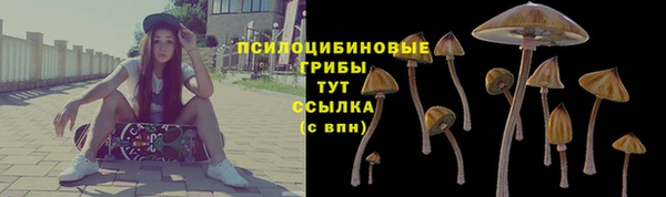 mix Арсеньев