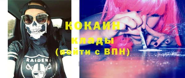 прущие грибы Аркадак