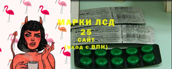 прущие грибы Аркадак