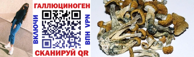 Псилоцибиновые грибы мицелий  Феодосия 